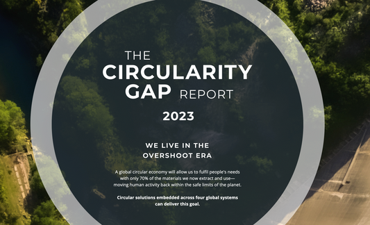 The 2023 Circularity GAP report (The Circle Economy)