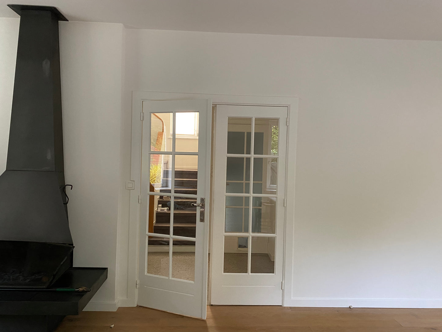 Double porte en verre (chassis bois)