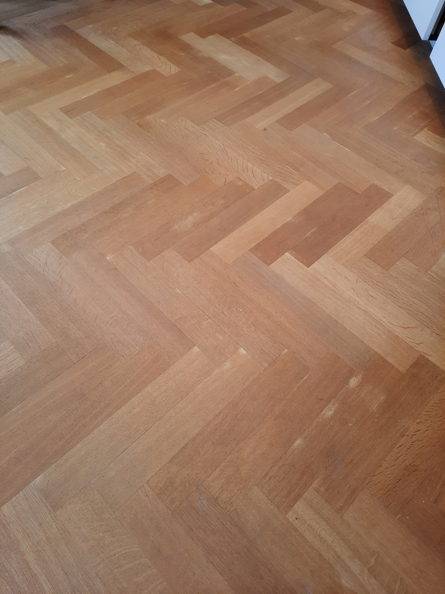 Parquet chevron ancien en bois massif (50 m² disponible)