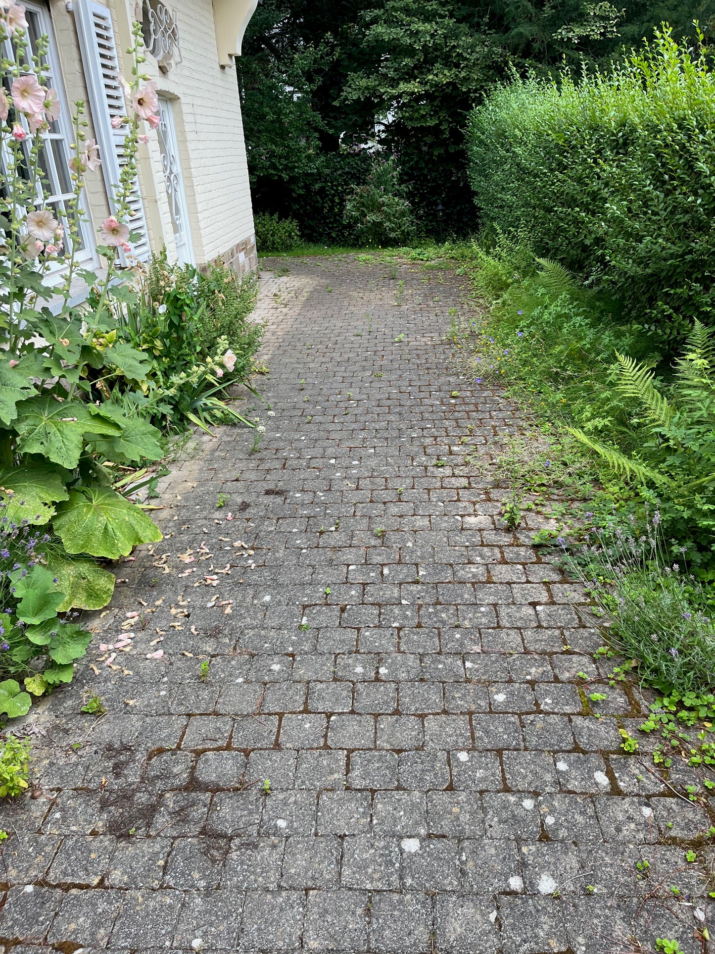 Lot de clinkers (70 m²)