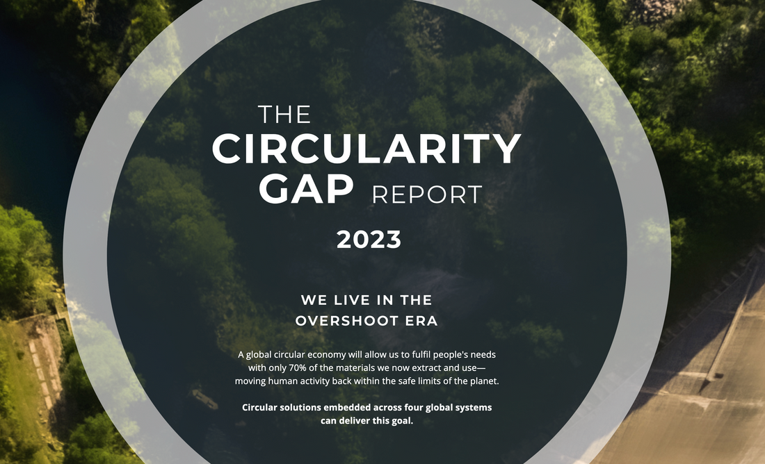 The 2023 Circularity GAP report (The Circle Economy)