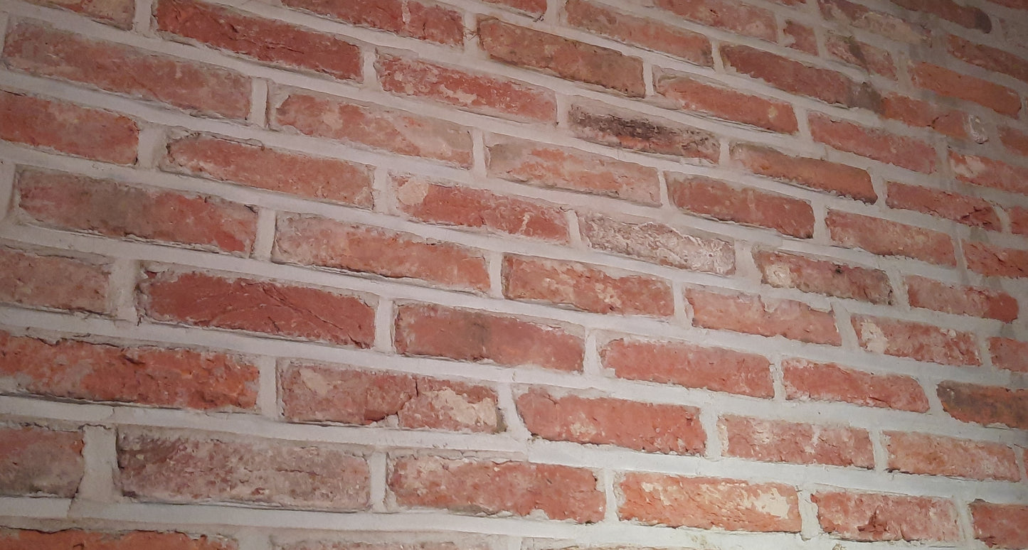 Plaquettes de parement en briques anciennes (24 x 5 cm)